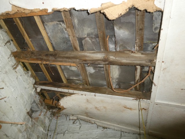 Significant deterioration to ceiling finishes with evidence of decay present to structural roofing members.