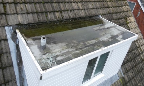Mineral felt flat roof covering to a dormer, holding significant standing water and heavily deteriorated.