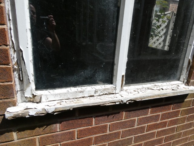 Painted timber window frames, heavily rotten.